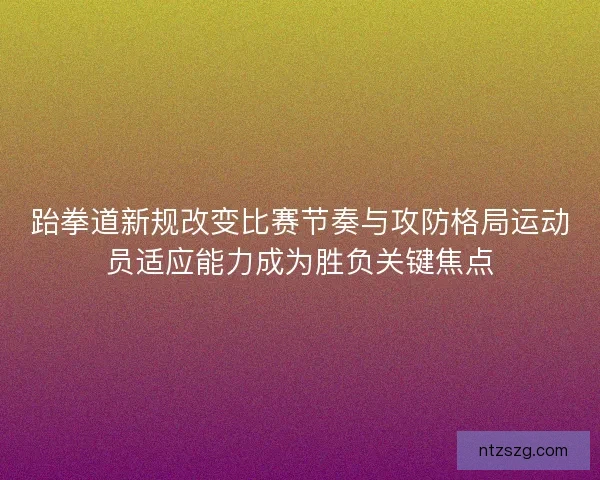 跆拳道新规改变比赛节奏与攻防格局运动员适应能力成为胜负关键焦点