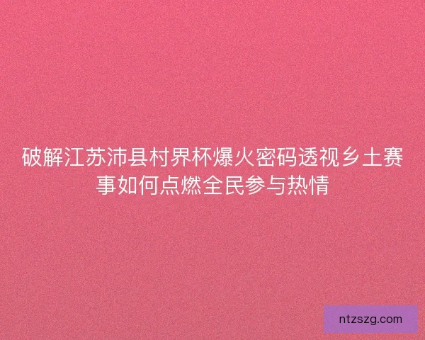 破解江苏沛县村界杯爆火密码透视乡土赛事如何点燃全民参与热情